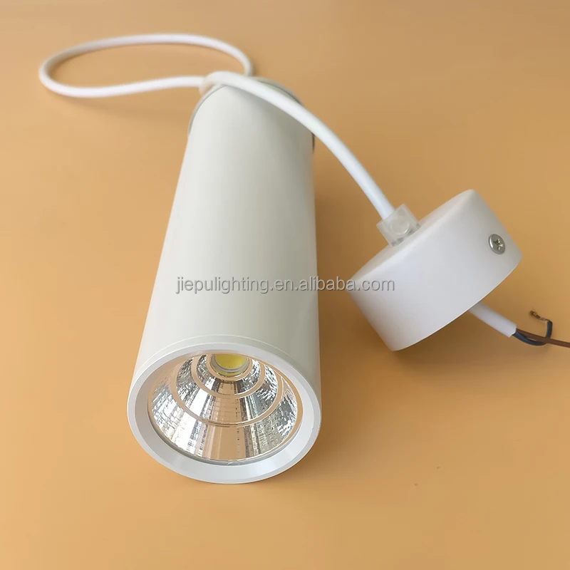 New arrival aluminum COB led exterior ceiling downlight for sale