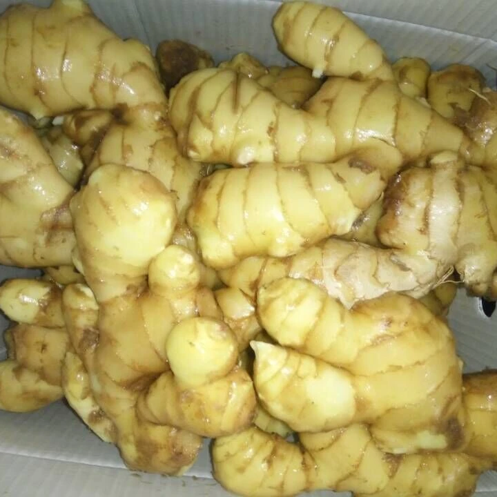 
2020 new crop fresh ginger 