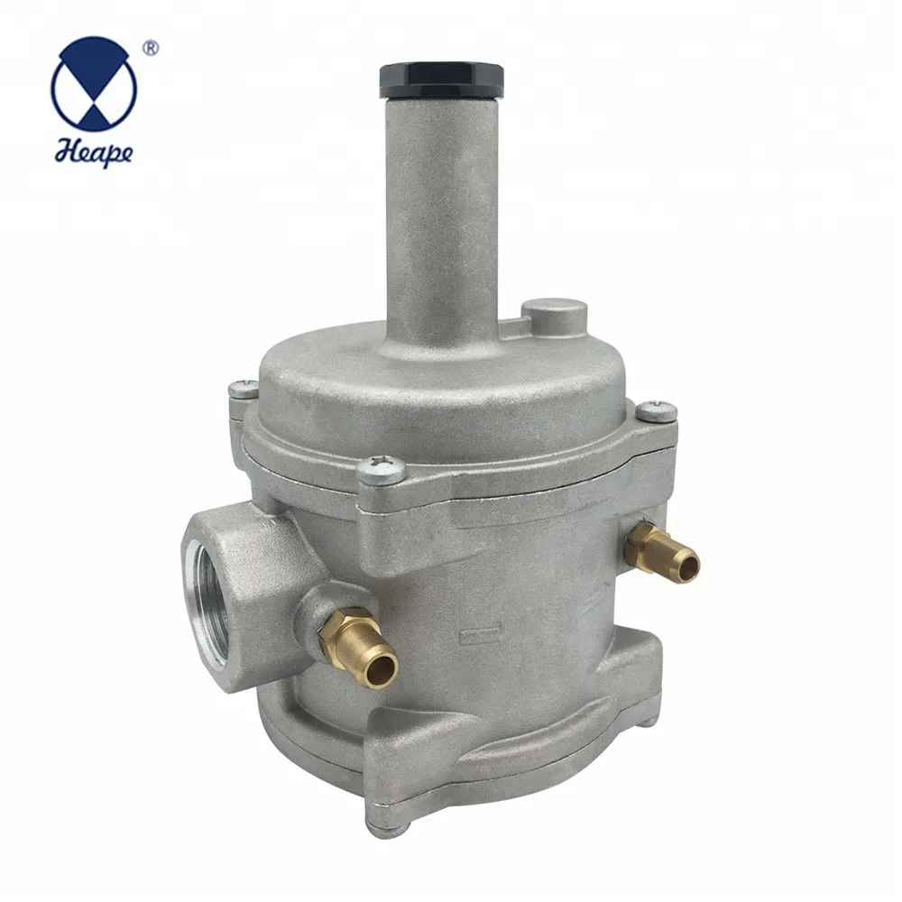 
HEAPE DN15 Natural Gas Regulator Valve 