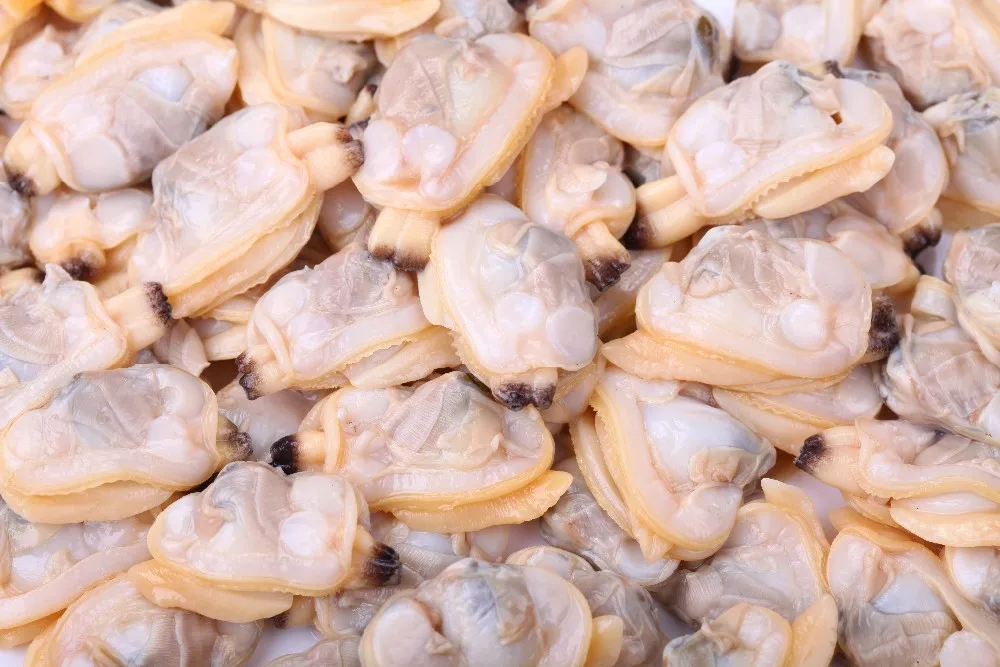 Живые морепродукты, полностью очищенное готовое мясо из моллюск BQF