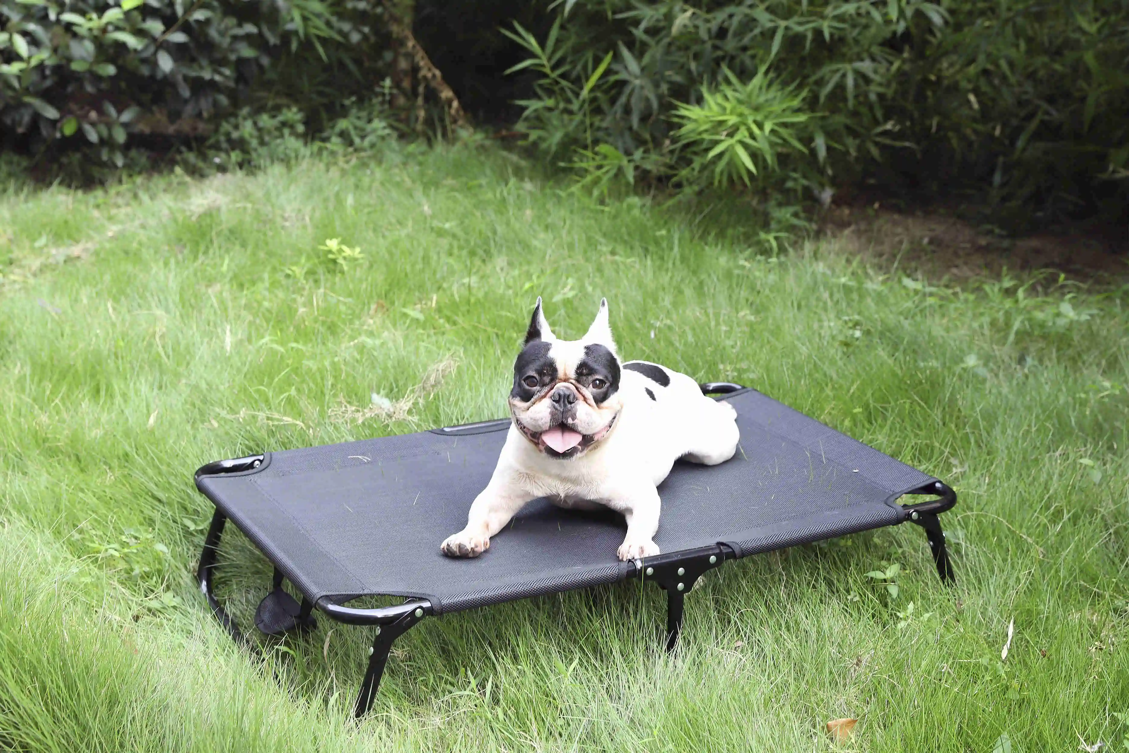 Portable Dog Bed Mesh Breathable Fabric Steel Frame Outdoor Dog Bed Elevated Folding Dog Bed Pet Product