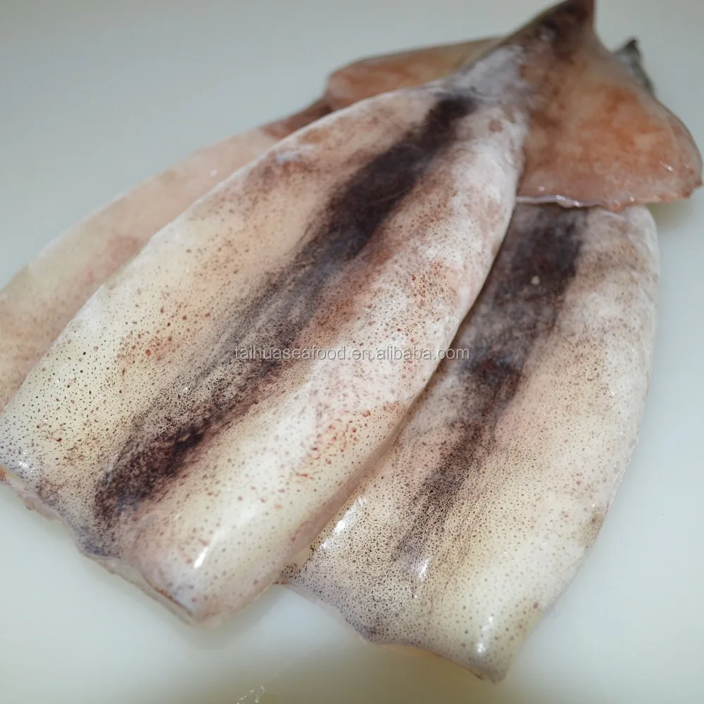 Frozen Squid Tube squid material from China in much stock