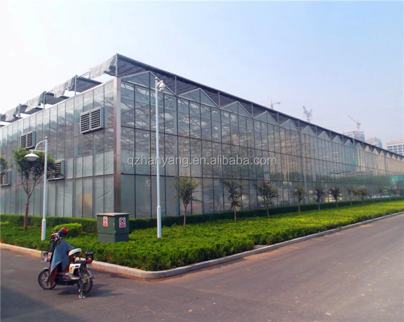 PC sheet steel structure frame house polycarbonate greenhouse with hydroponic system
