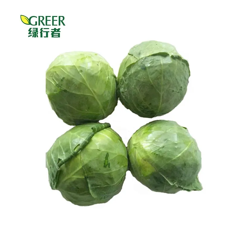 Fresh cabbages bok choy fresh vegetables