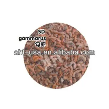 dried gammarus