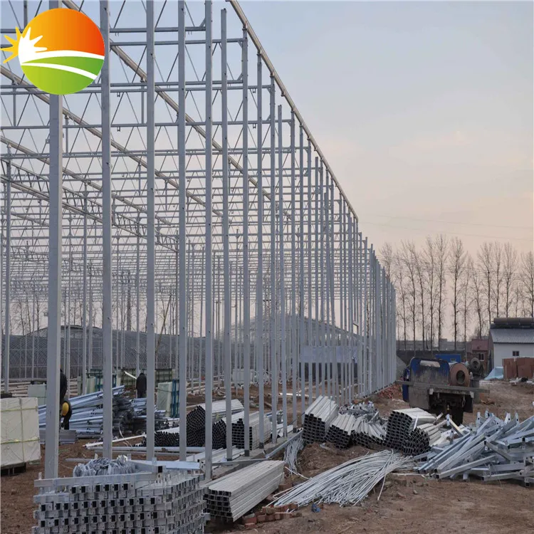 Cheap Tomato Vegetable Greenhouse