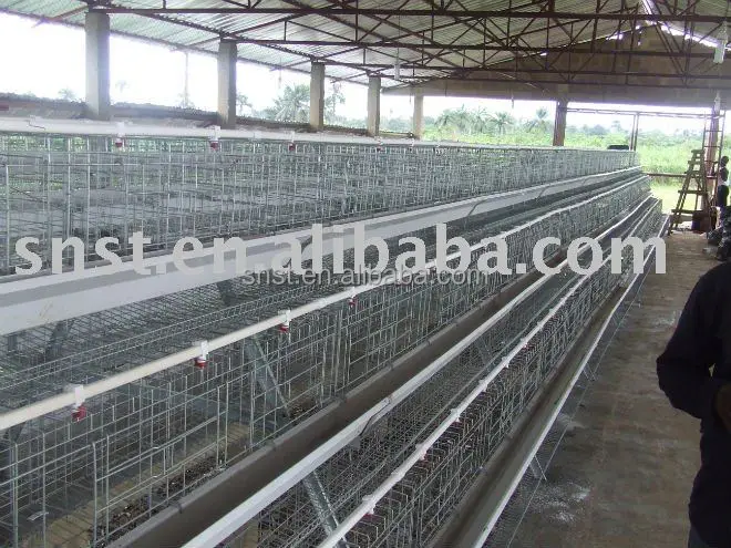 Good price second hand poultry show cages with CE certificate