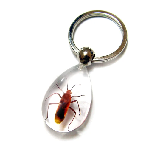 Cool Real Insects Scorpion Resin Specimen Keychain Keyring Custom Make Factory Price Mix Order Promotional Educational Gift