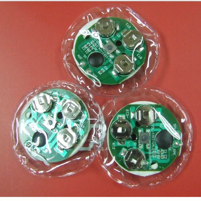 Waterproof voice recorder module with custom audio recording