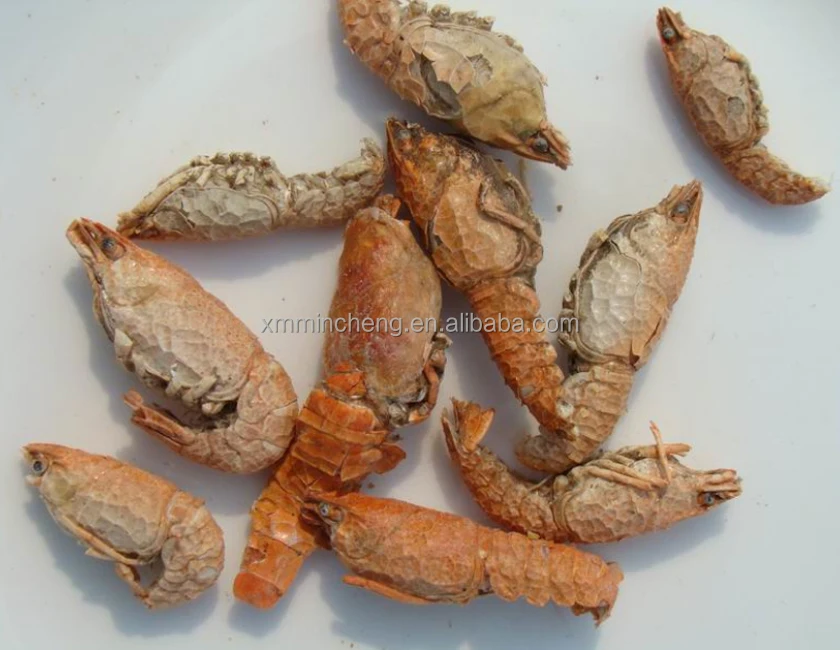 Support customized high nutrition and high protein Freeze Dried Crayfish for fish