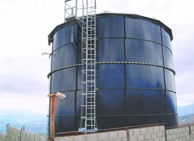 BSL professional biogas equipment methane gas storage FRP cylindrical tank