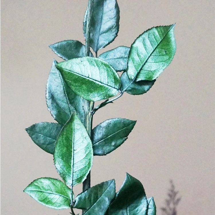 70cm Best Quality Natural long forever Preserved Rose Stem For Making Preserved Glass Dome Rose