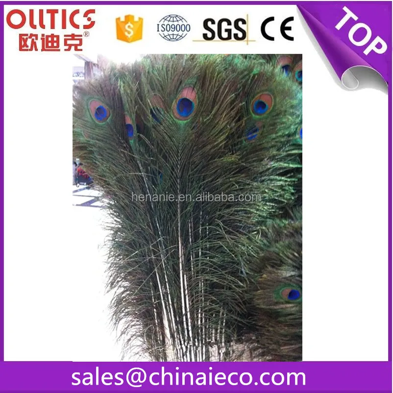 Big eyes peacock feathers Pure natural