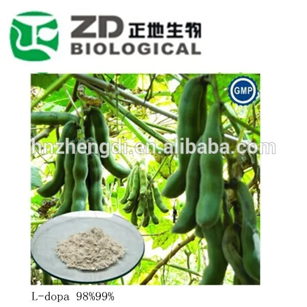 Mucuna pruriens экстракт семян 98% др.- допы на продажу