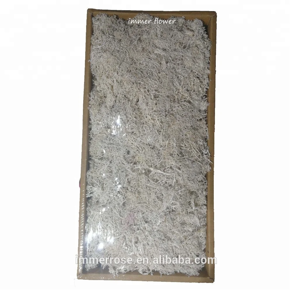 
Top quality Stabilized Moss Wholesale Preserved Moss From Kunming China 