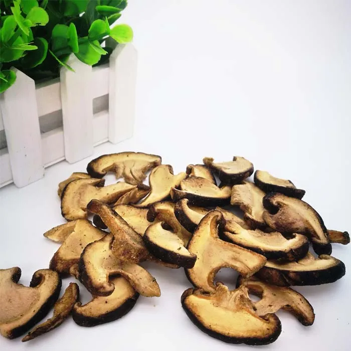 Low Temperature Vacuum Fried Vegetable Seeds Mushroom Growing Kit