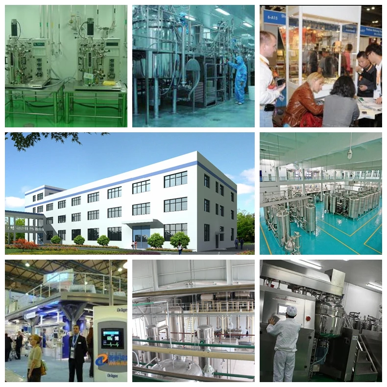 
Hulled/Shelled Hemp Seeds Organic and Conventional 