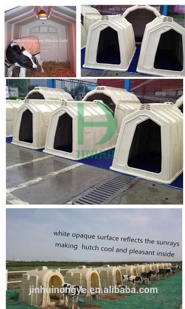 Chicken broiler farm house design chicken farm shed building