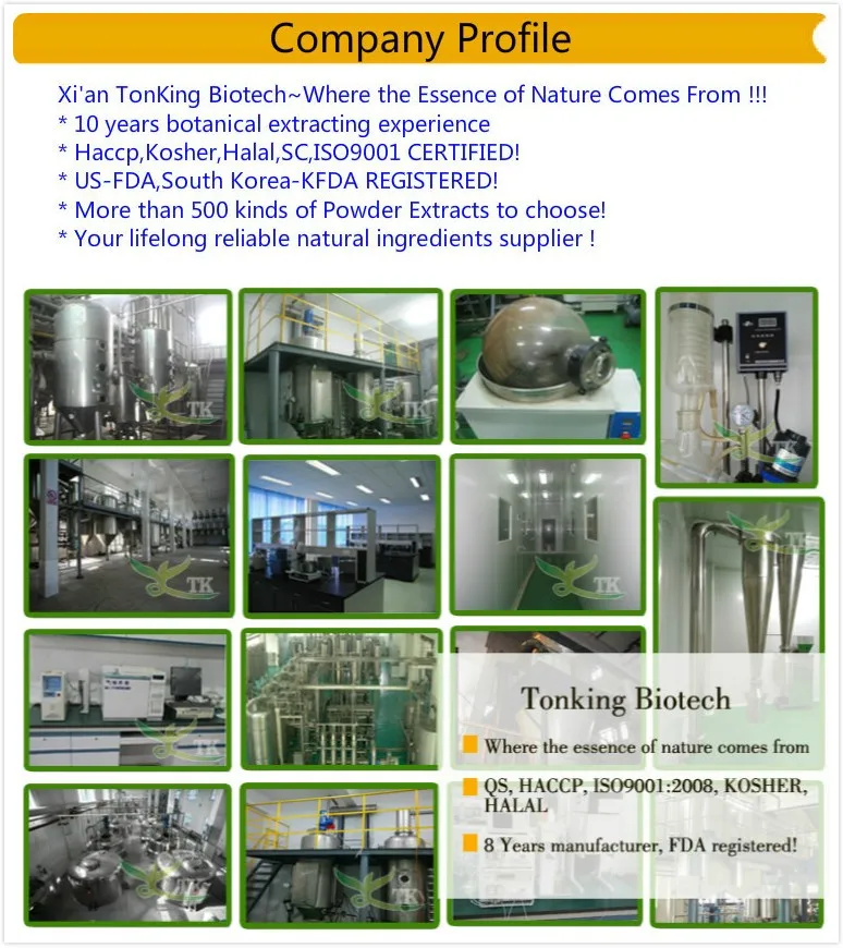 
Natural India raw material 60% HCA garcinia cambogia extract powder 