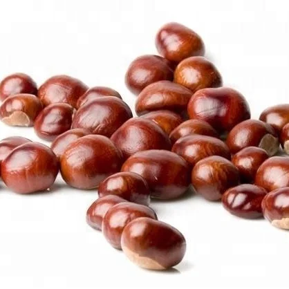Горячая Распродажа Высококачественный новый урожай Dandong свежий китайский каштан