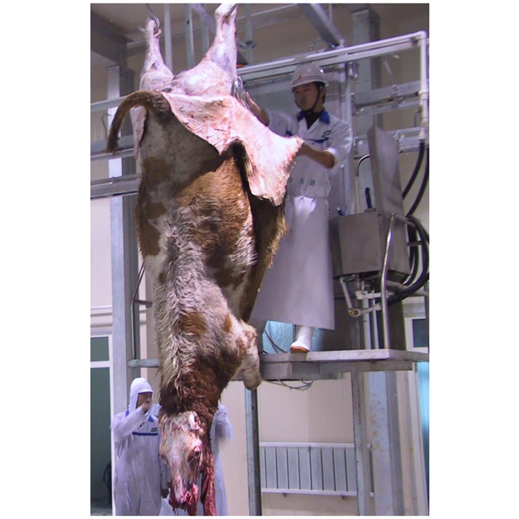 Halal Meat Slaughter Process Camel With Quality Abattoir Machine