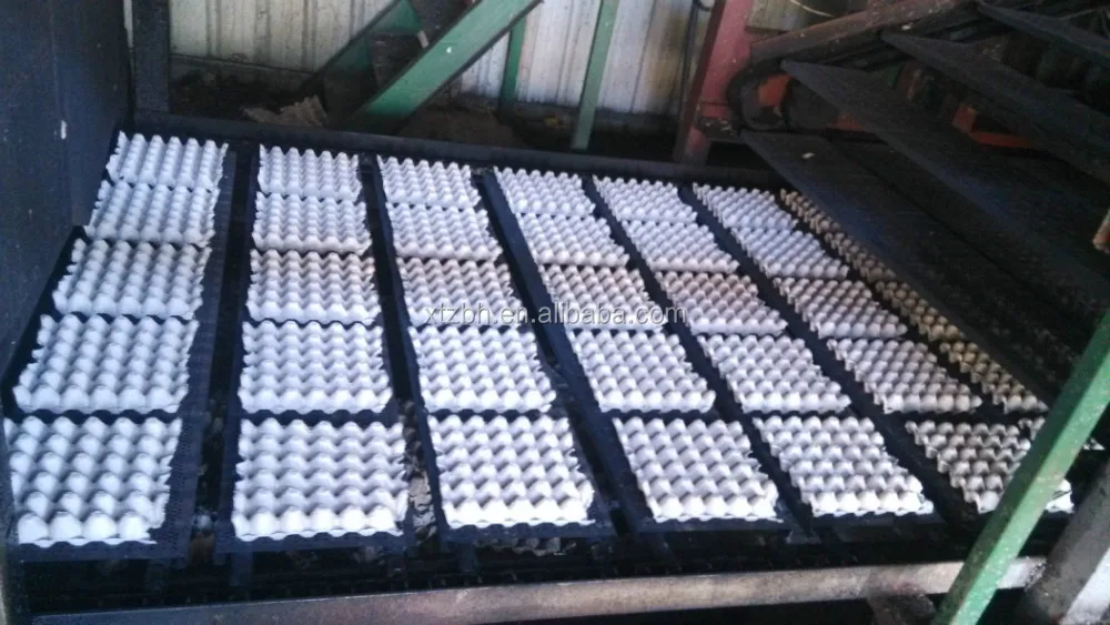 4300 шт. в час целлюлозно яблоко / груша / оранжевый лоток машина