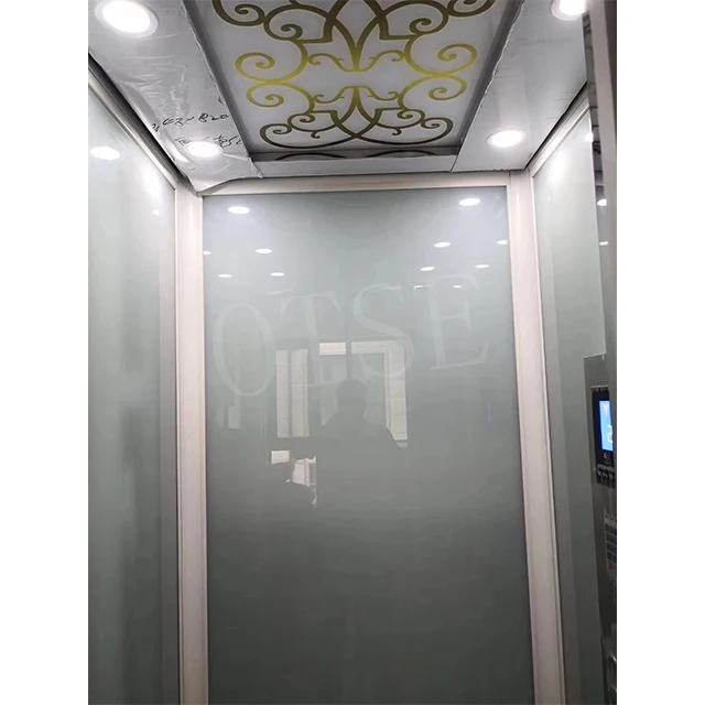 Cheap Home Elevator For 2-5 Person Residential Elevator Home Lift Price With Glass Shaft