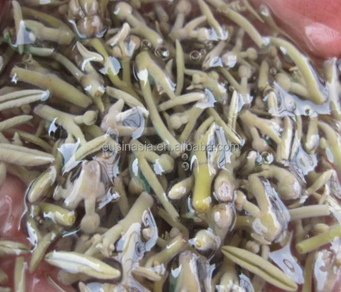 Brasenia schreberi, health food