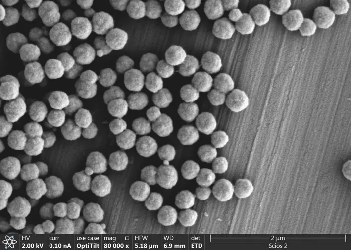 Magnetic beads Streptavidin 300nm for chemiluminescence, protein purification, cell sorting.