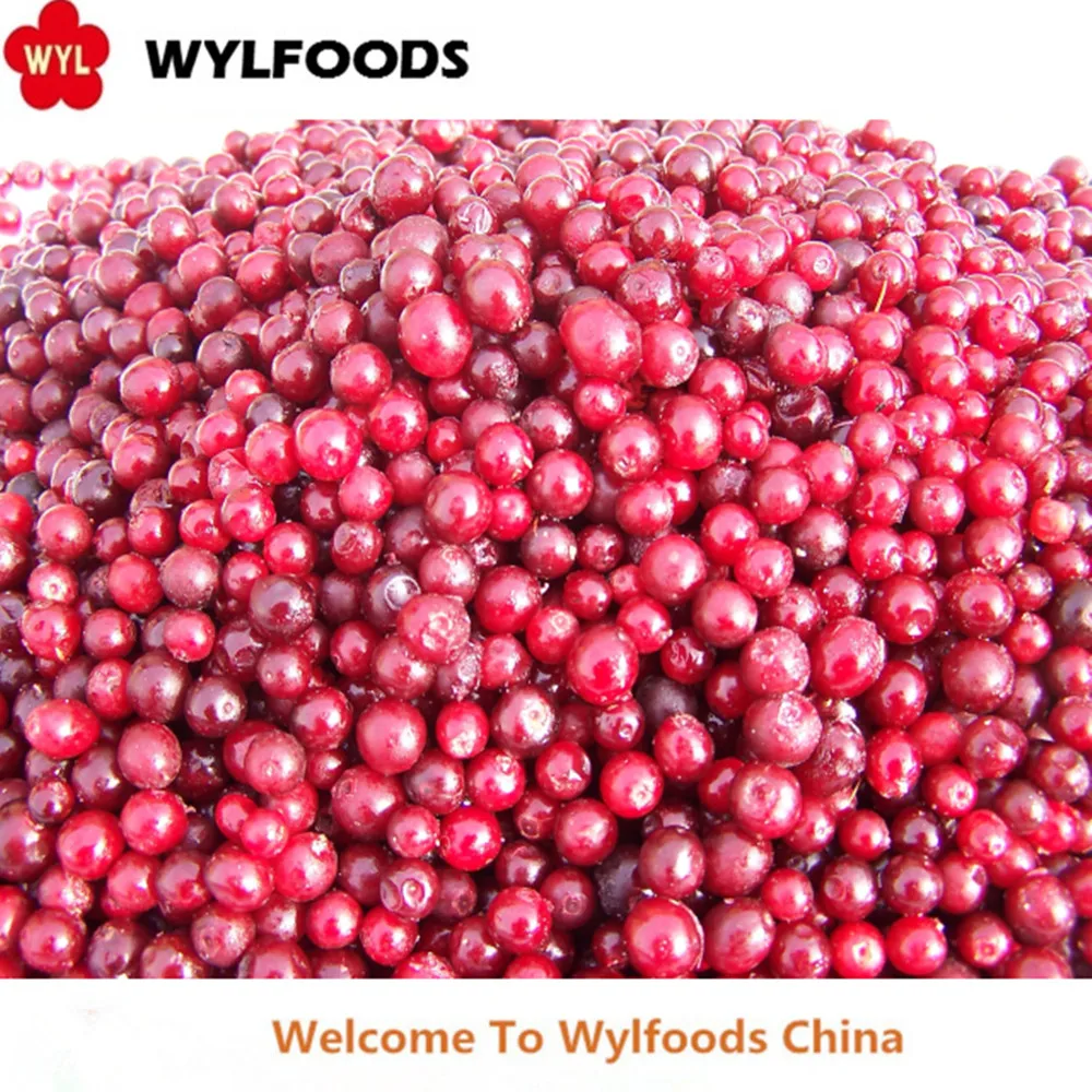 Hot Sell IQF  Frozen Lingonberry Price in Bulk IQF Frozen Fruits