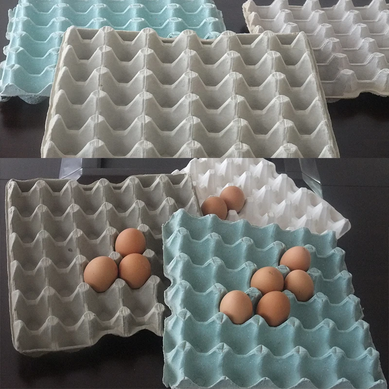 Paper plate making machine price finished paper egg tray manufacturing for sale