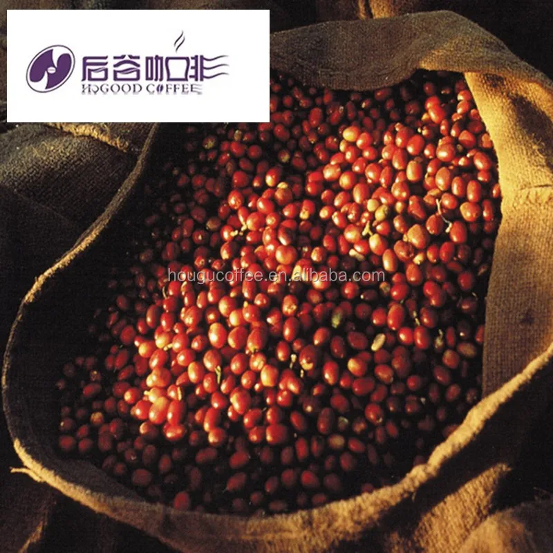 Freeze dried coffee bulk