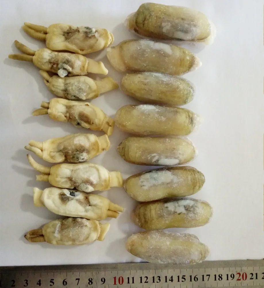 Замороженные моллюски для свежих морепродуктов всех размеров