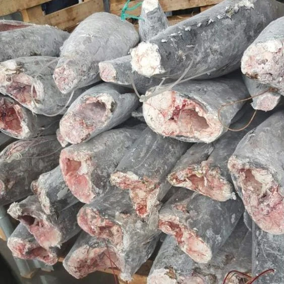 
 Супер замороженное масло hgt для рыбы на рынке  