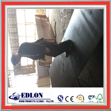 sveza black film faced birch plywood buyer 1220x2440mm