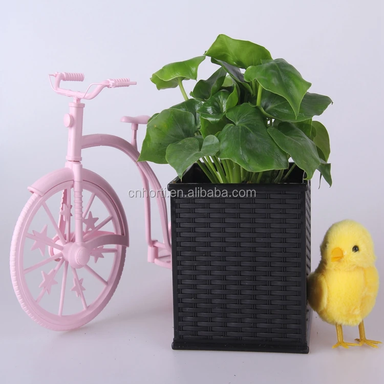 various size outdoor large plastic plant pots colorful plastic flower pots
