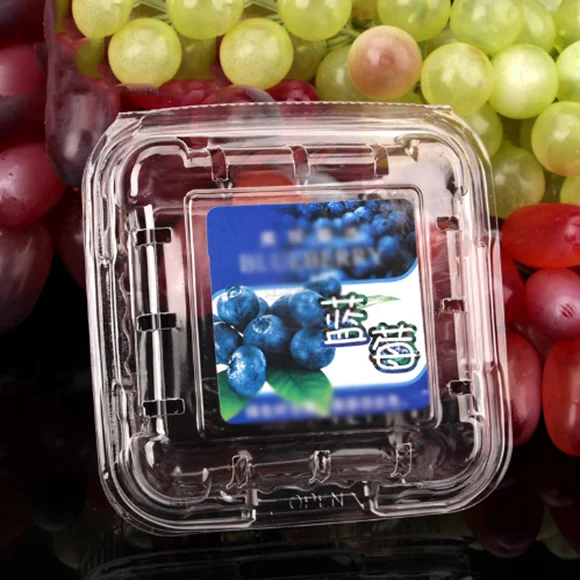 Plastic 125g Disposable Strawberry Blueberry Clamshell Packaging
