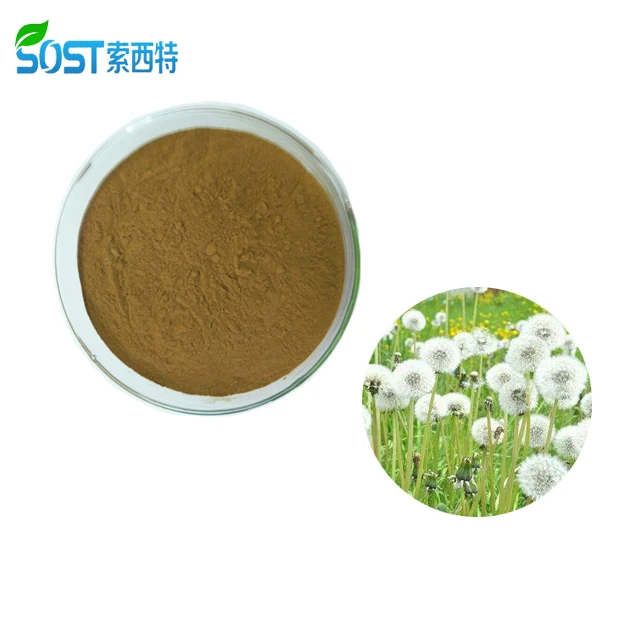 
Best Selling Pure EU Organic Dandelion Root Extract Powder 