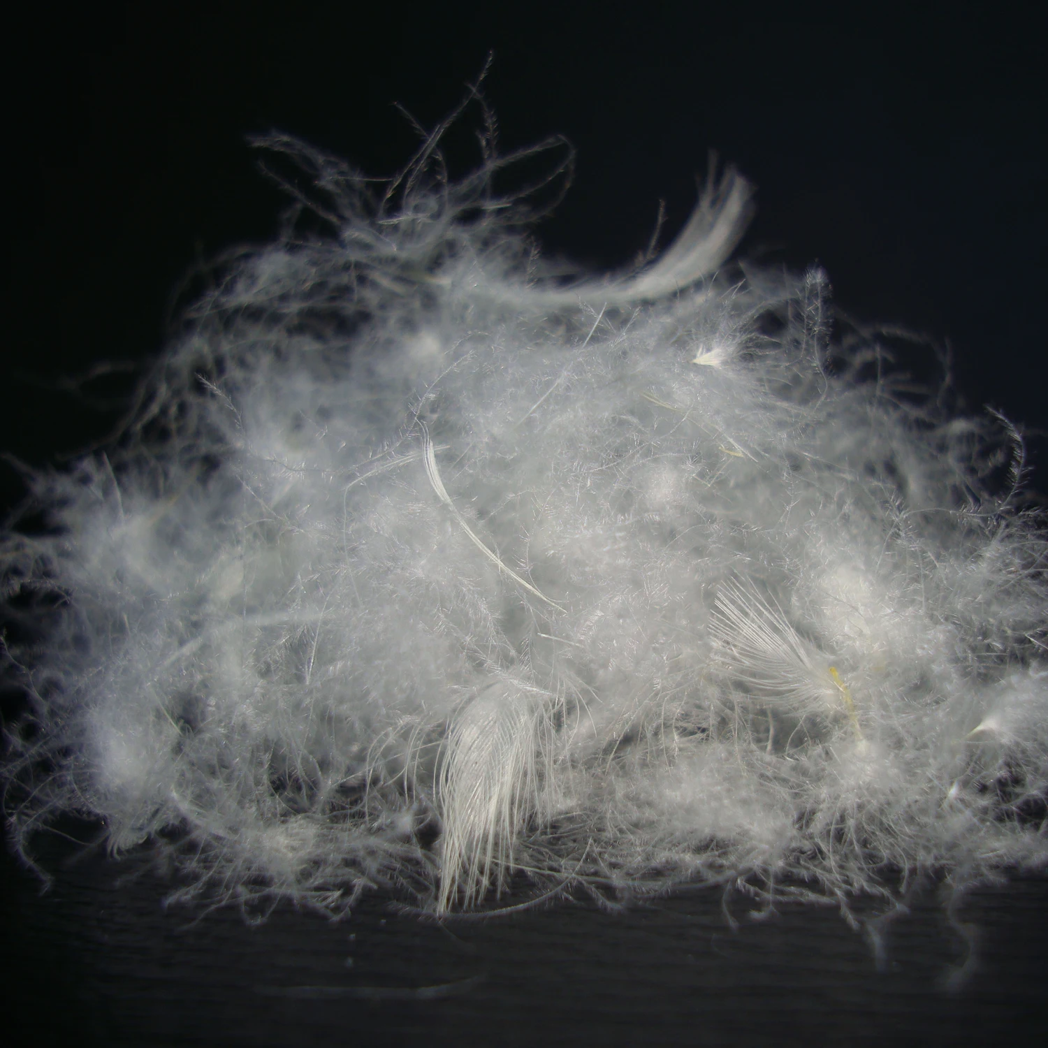 
 Белый утиный пух 70%  