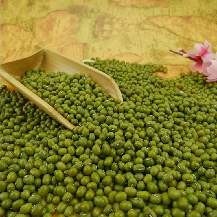 
Well selected small green mung bean 