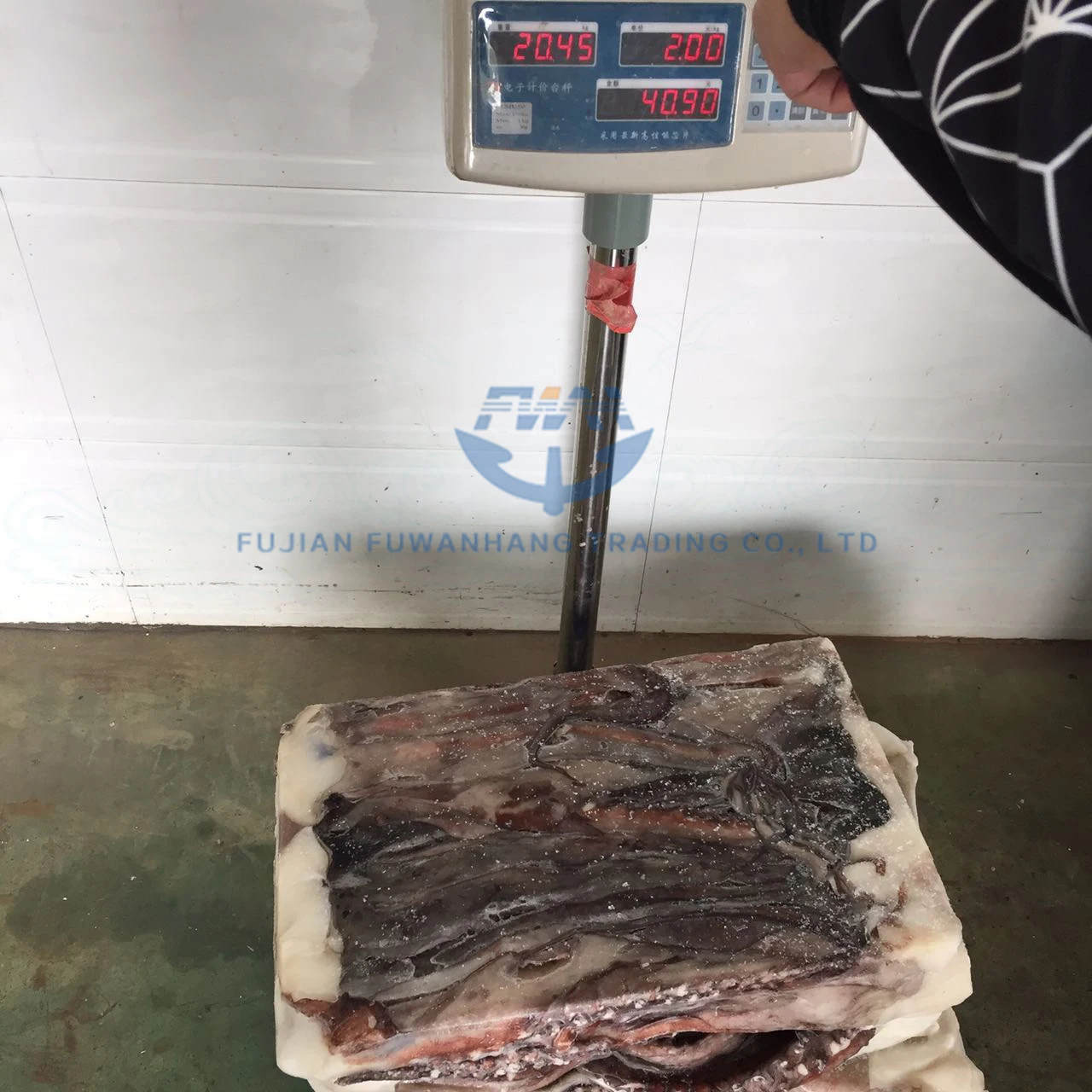 
best seller seafood BQF Frozen Peru Squid Tentacle 