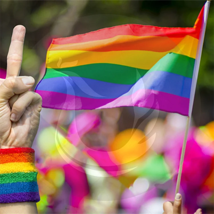 
Custom Promotion Cheap Rainbow Lesbian And Gay Pride Hand Flag 