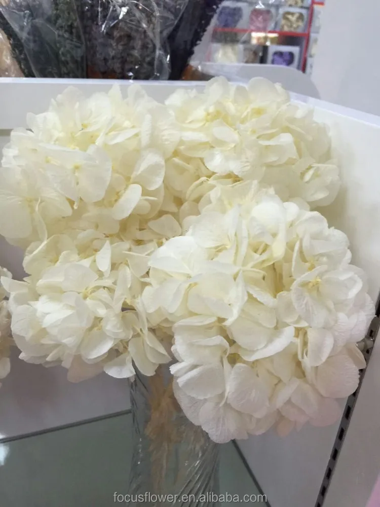 fast delivery wholesale real preserved roses cut price for weddings