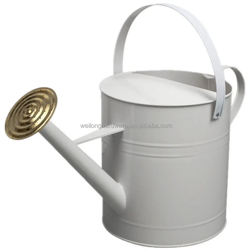 Garden Colour Galvanised Metal Steel Watering Can 9 Litre with Brass Rose