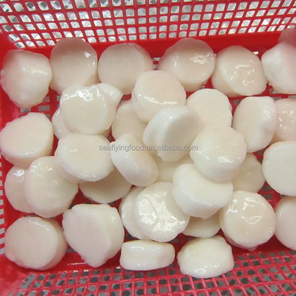 Frozen Sea Scallop