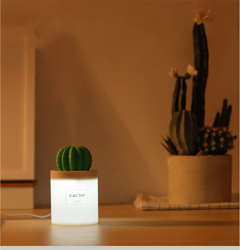 New usb mini portable air cactus humidifier for home or office