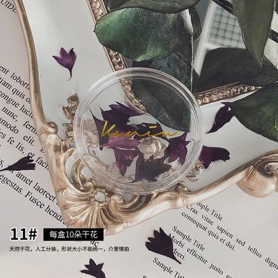 Manicure Ultra-thin Natural Dried Flowers Japanese Summer Cherry Blossom Dry Flowers For Nail Art