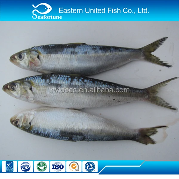 Вьетнамские сардины оптом