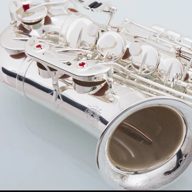 
Accept OEM Dasheng Music DSAS-711S Silver Alto Saxophone 