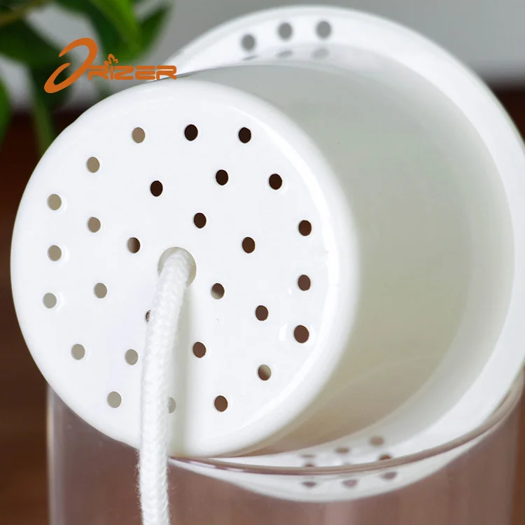 Factory direct sale self watering lazy round transparent ornamental plastic flowerpot